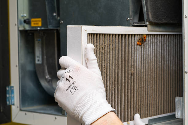 Best Home Air Vent Cleaning  in De Witt, NY